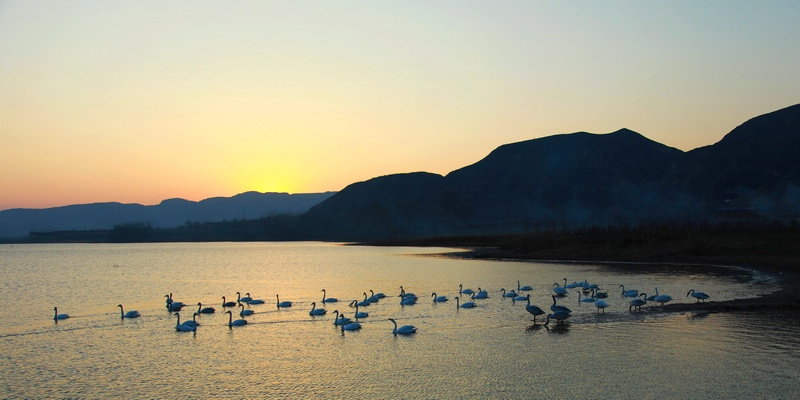 老版本天鹅湖 42948651522039.jpg