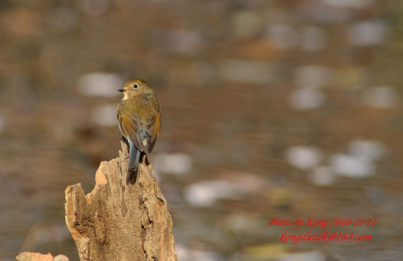 拍鸟镜头能拍人吗 11614009312725.jpg