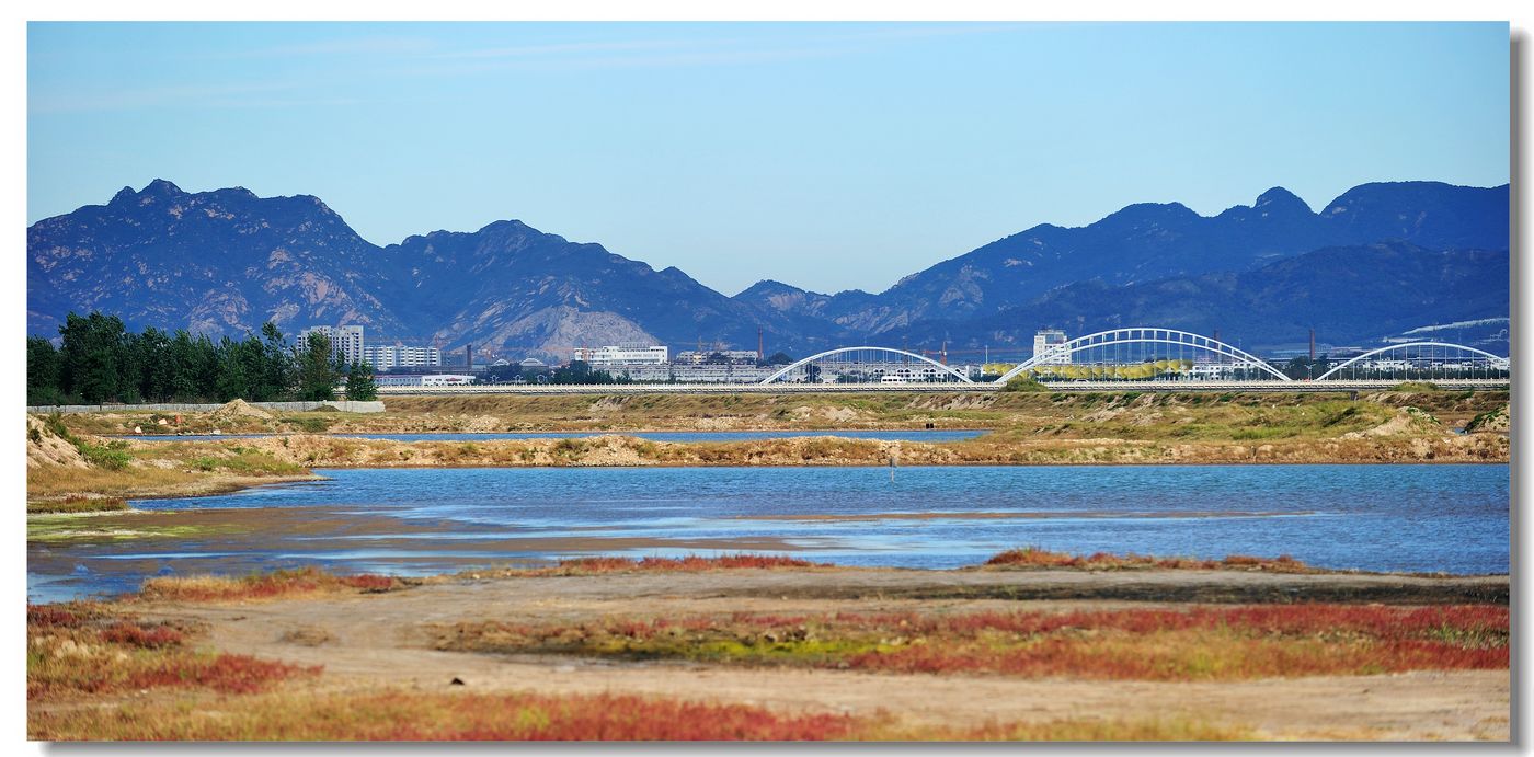 山海关石河湿地一角