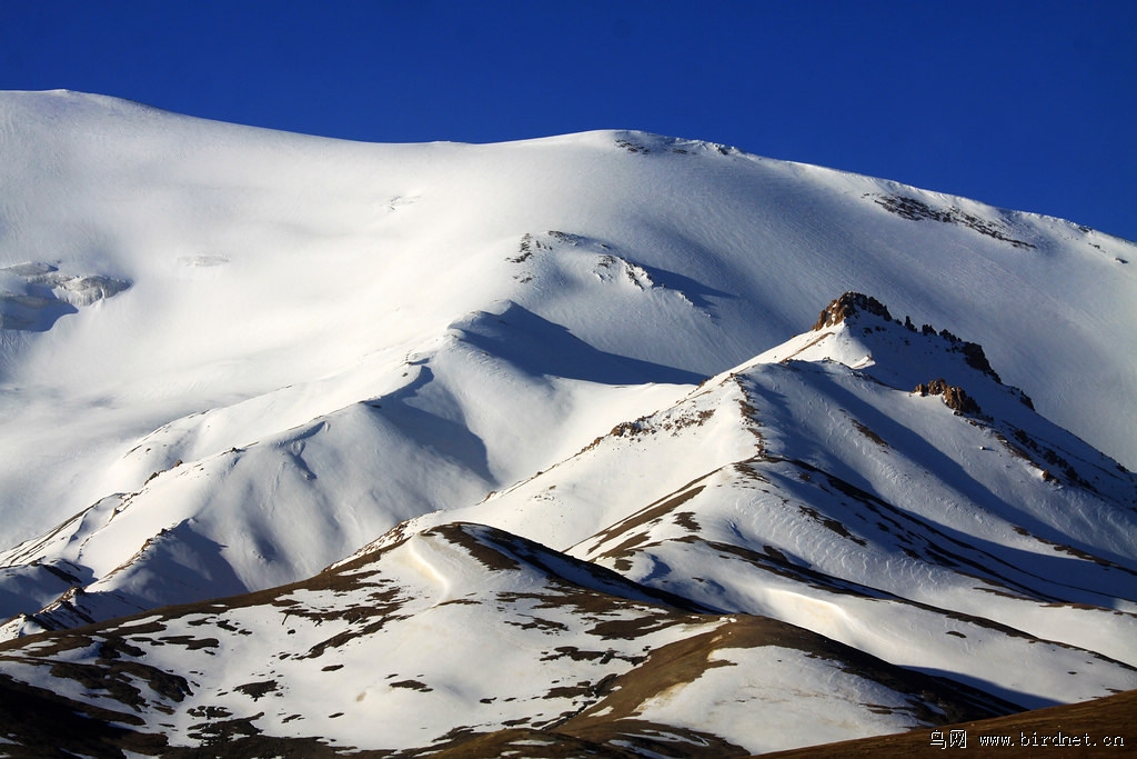 青藏高原的雪山