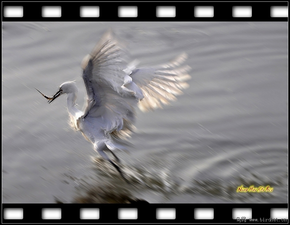 迅雷不及掩耳之势出处 121815392117567.jpg