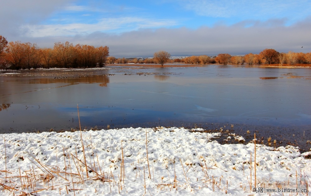 鸟湖生态环境片子 - 生态风光 Miscellaneous W