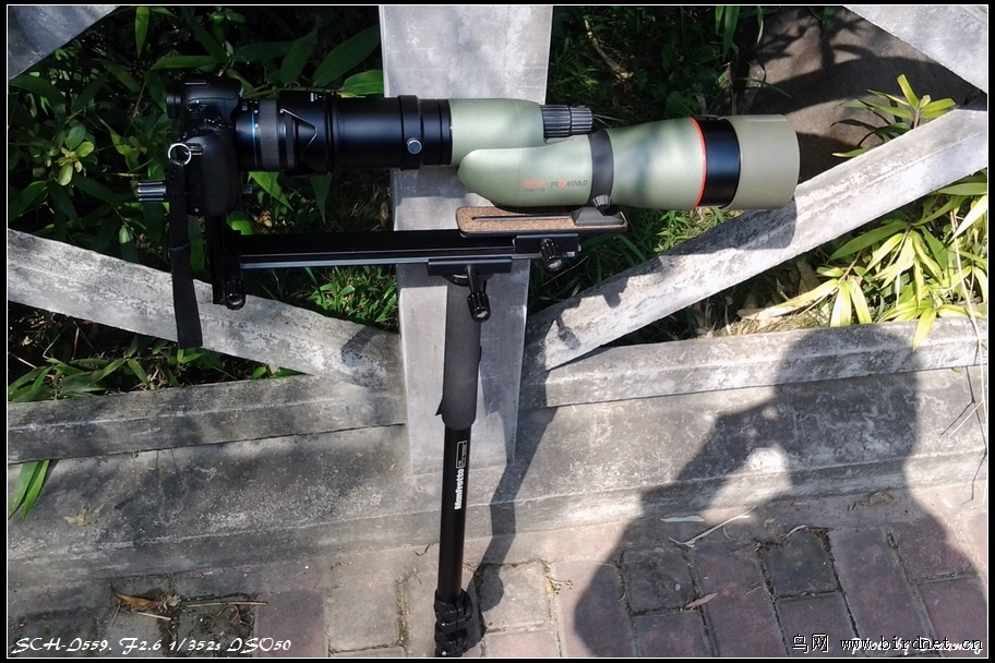 佳能微单:有人用来打鸟吗? - 器材讨论版 Equip