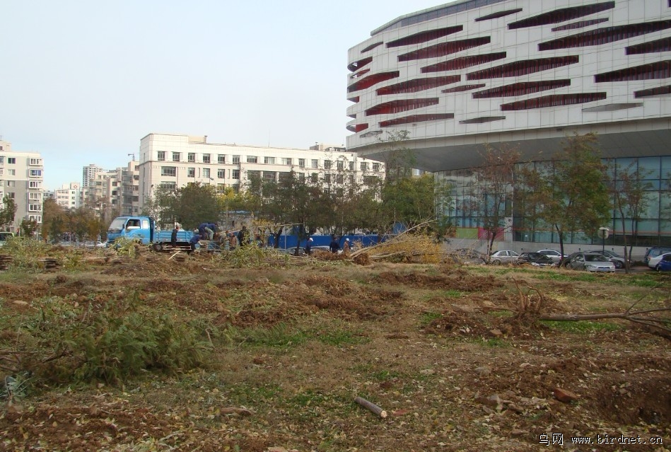 西岗区最新人口_大连市西岗区东关小学