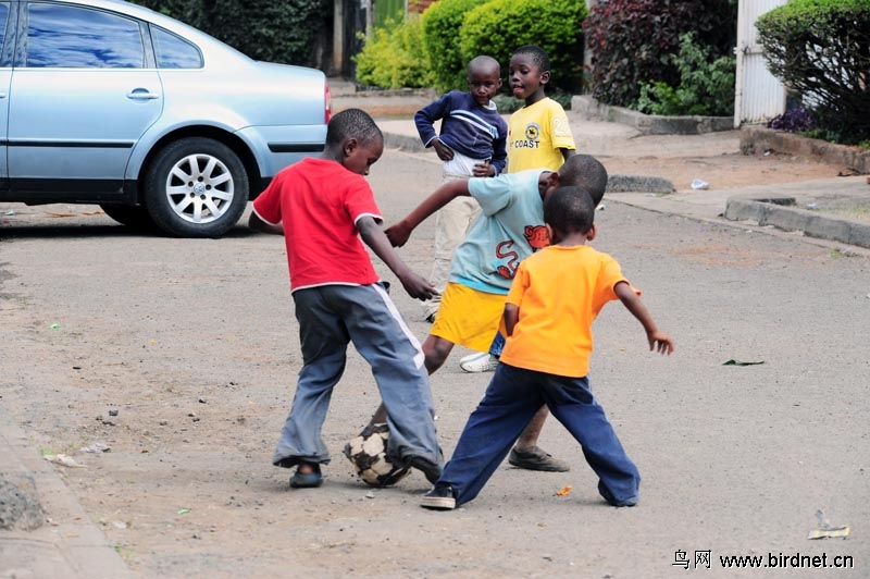 非洲肯尼亚街头 小足球队 - 地理风光 Geogra