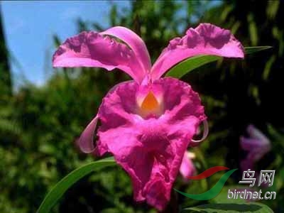 020308buid938kl5iddadd.jpg