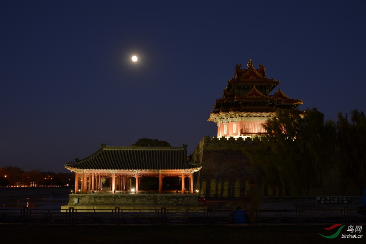 一组北京故宫的夜景片