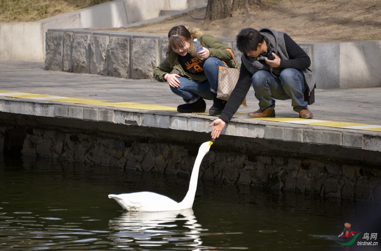 140312北京动物园·人文008_调整大小.jpg