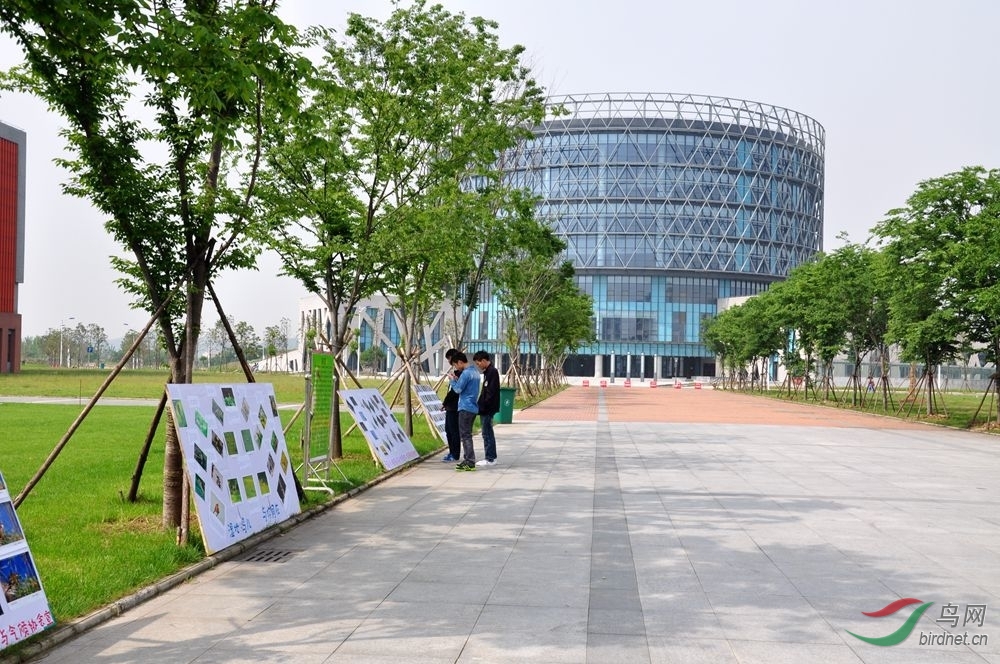 荆州观鸟图片展览在长江大学武汉校区如期举行