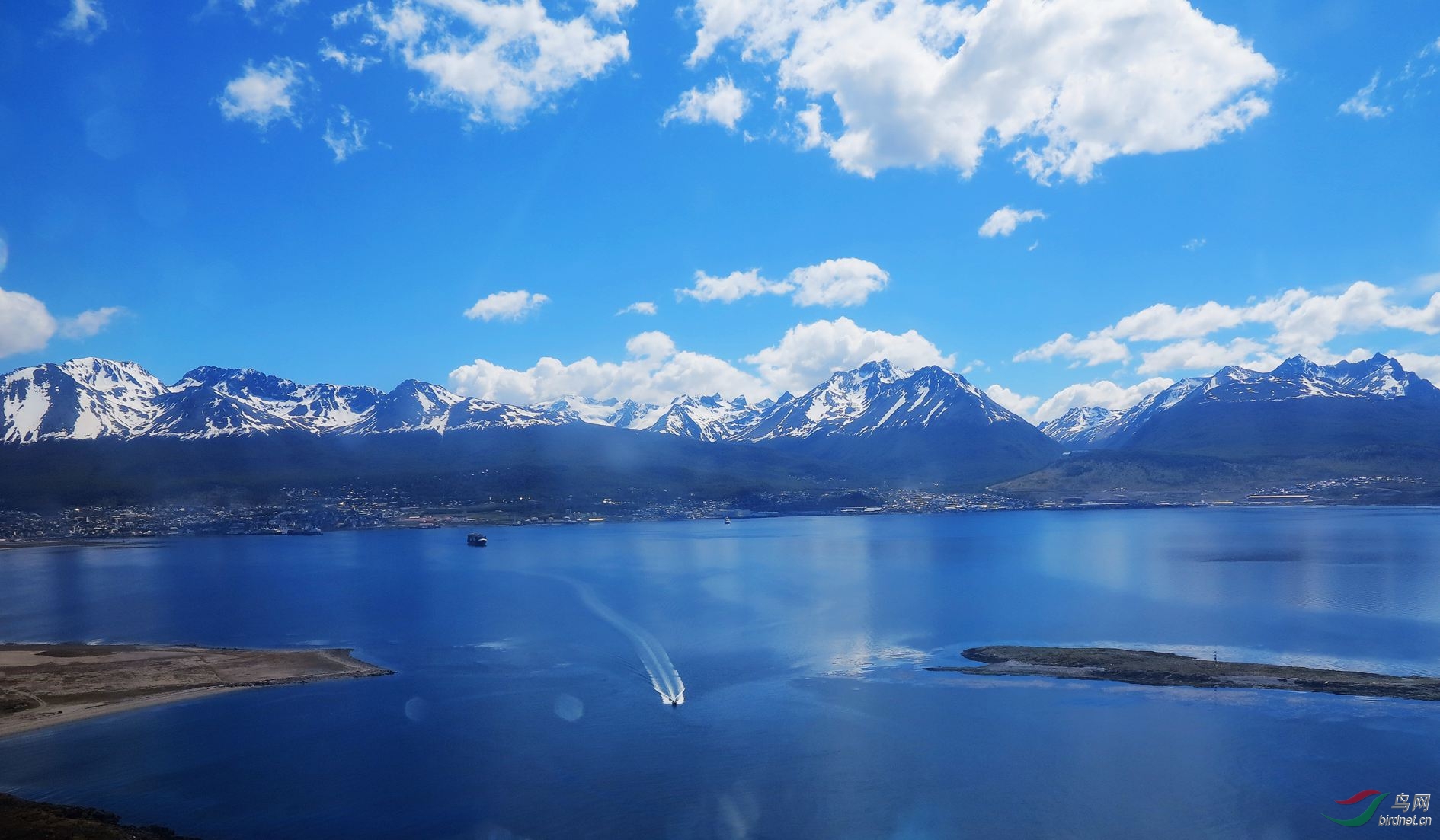 (纹颊企鹅)南极日记(长篇连载)