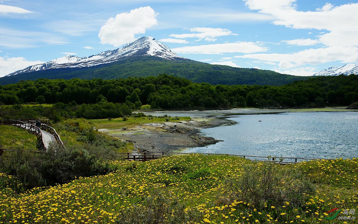 (纹颊企鹅)南极日记(长篇连载)