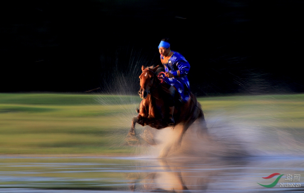 跑马的汉子 - 内蒙古版 Neimenggu 鸟网
