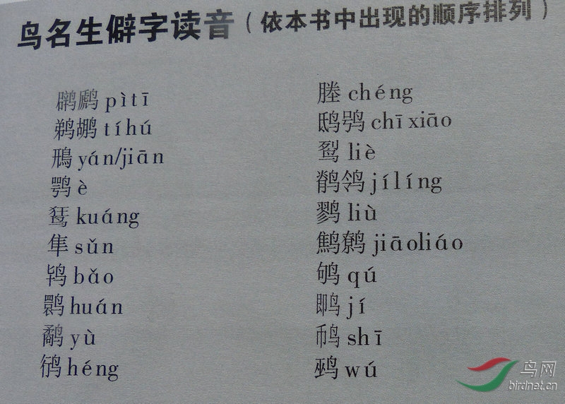 曲谱野鸟_农村野鸟图片(2)