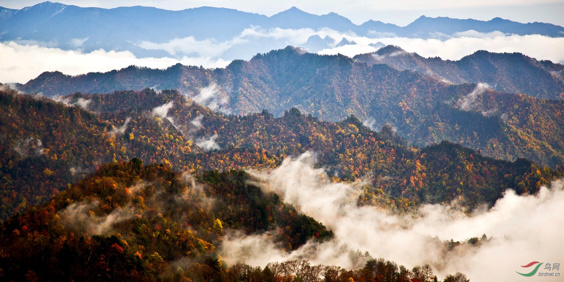 咱陕西的山景【黄柏塬】