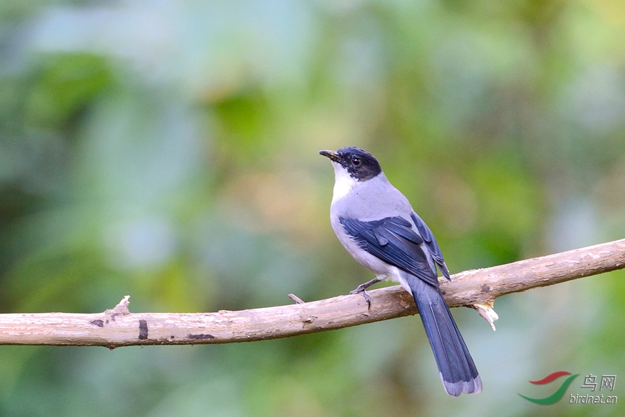 dsc_7945.jpg