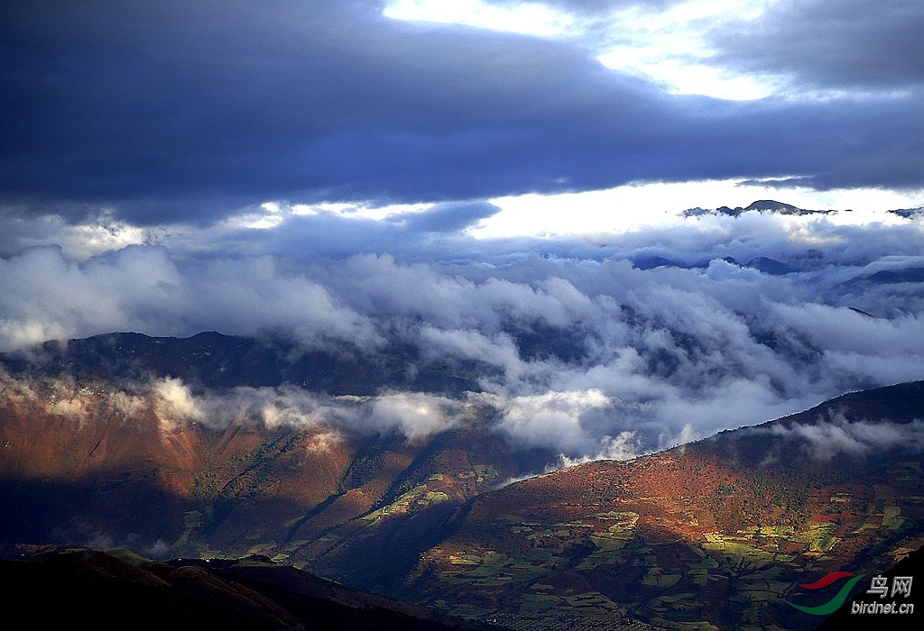 云南高黎贡山