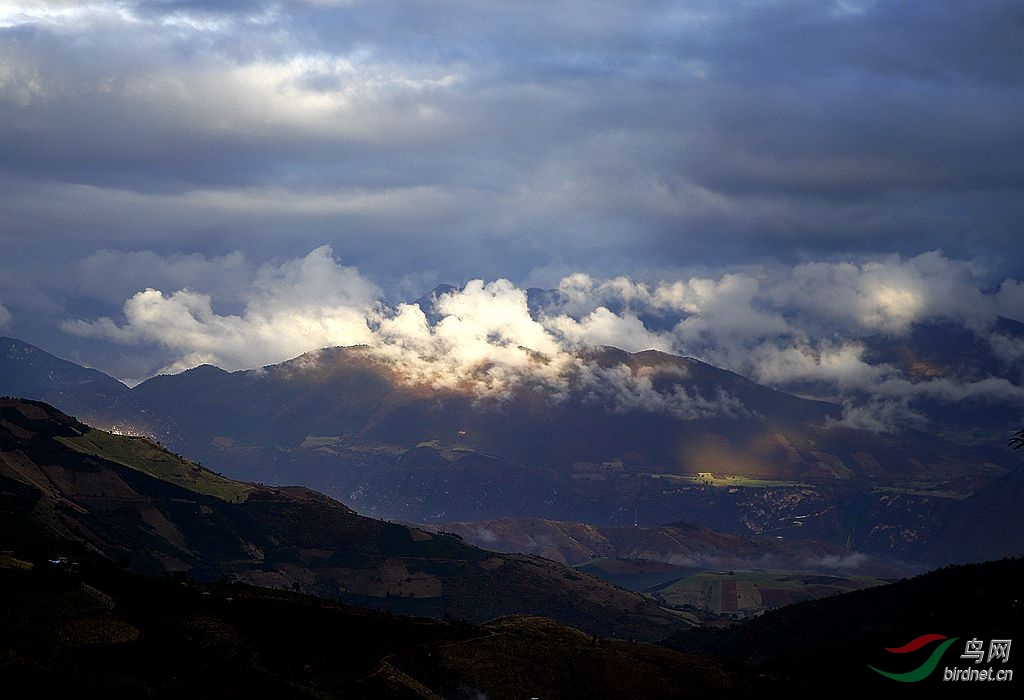 云南高黎贡山