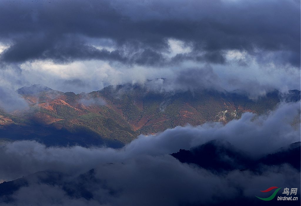 云南高黎贡山