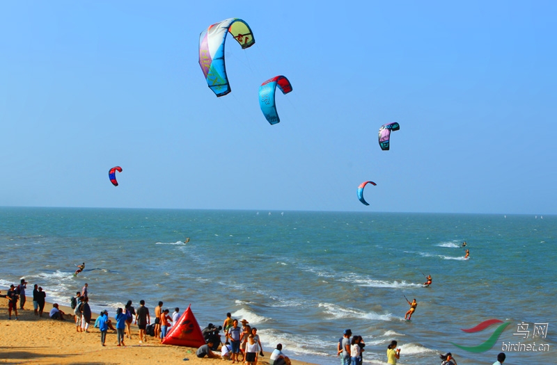 当代女子不输男--风筝滑板冲浪 - 海南版 Haina