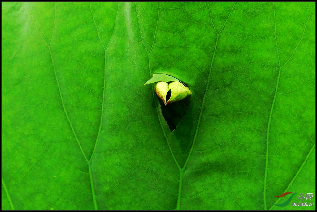 索尼a6000和18-200镜头不错 - 器材讨论与测评