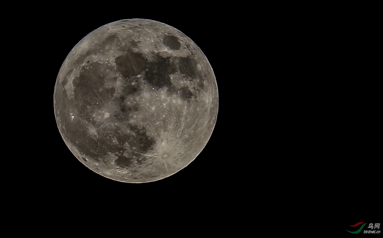 今晚月亮又大又圆,不妨拍几张,折磨一下镜头相