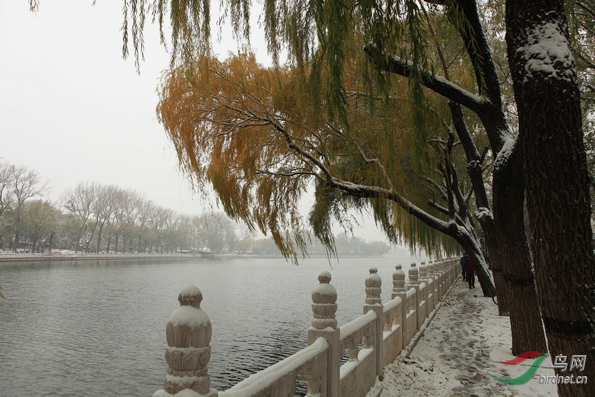 11.22日什刹海雪景