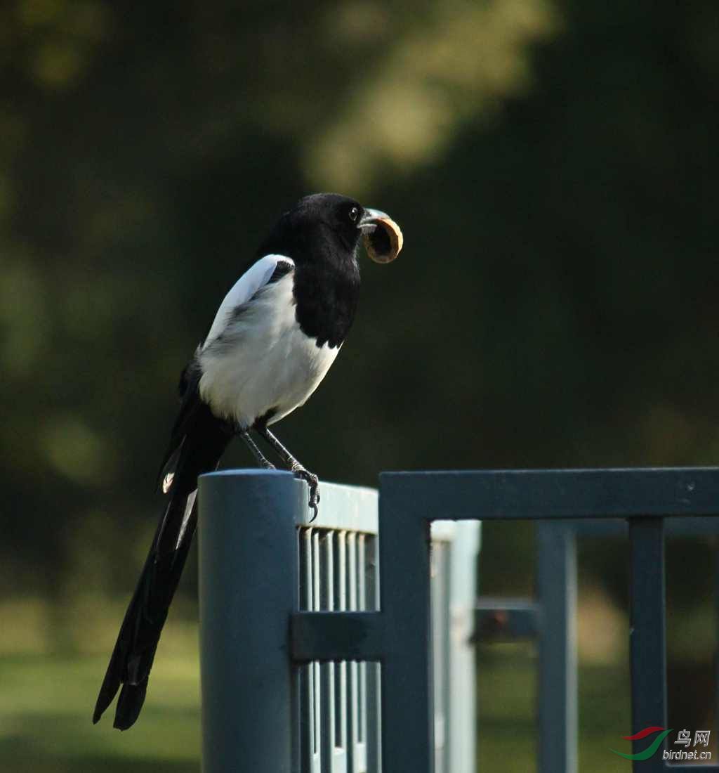 转换角度,让你们看得清清楚楚,明明白白。 - 北