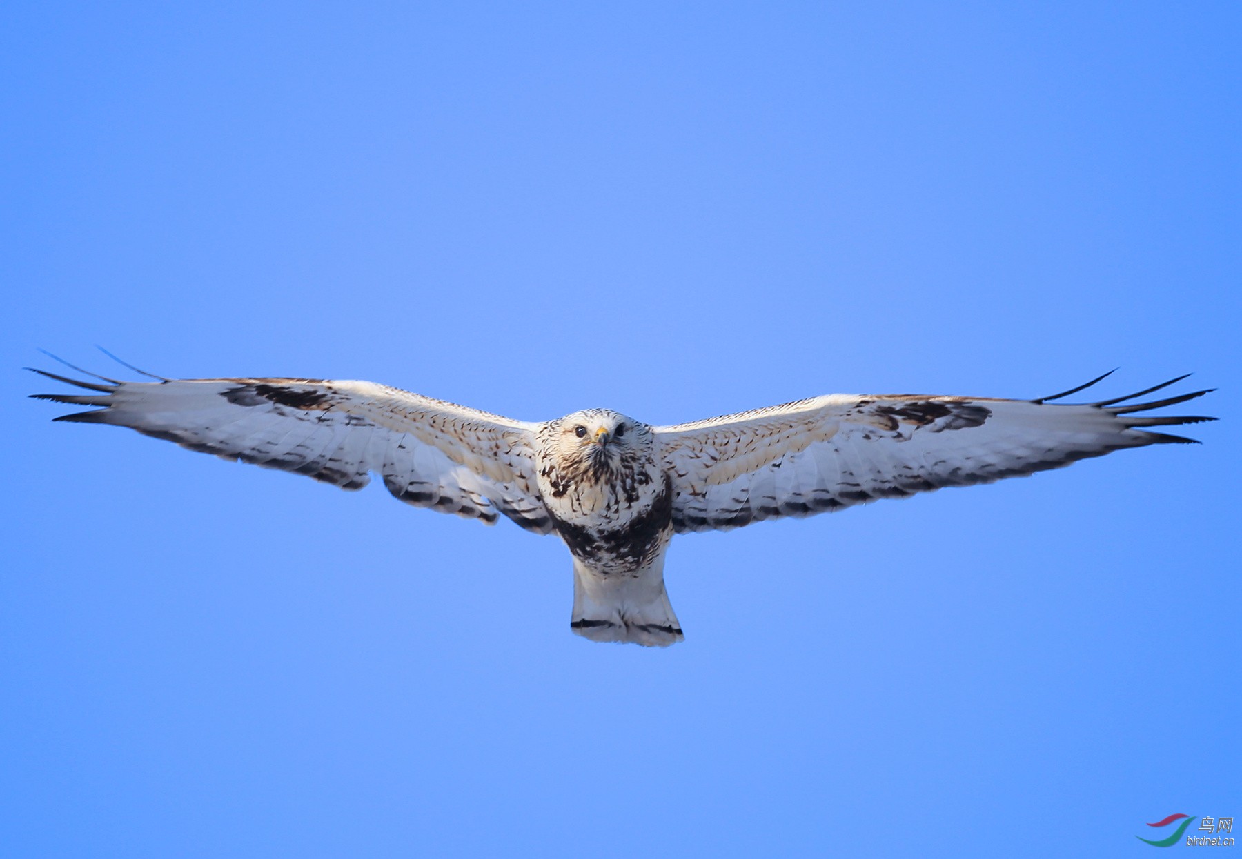 迎面飞来---2016第一拍 - 黑龙江版 Heilongjian