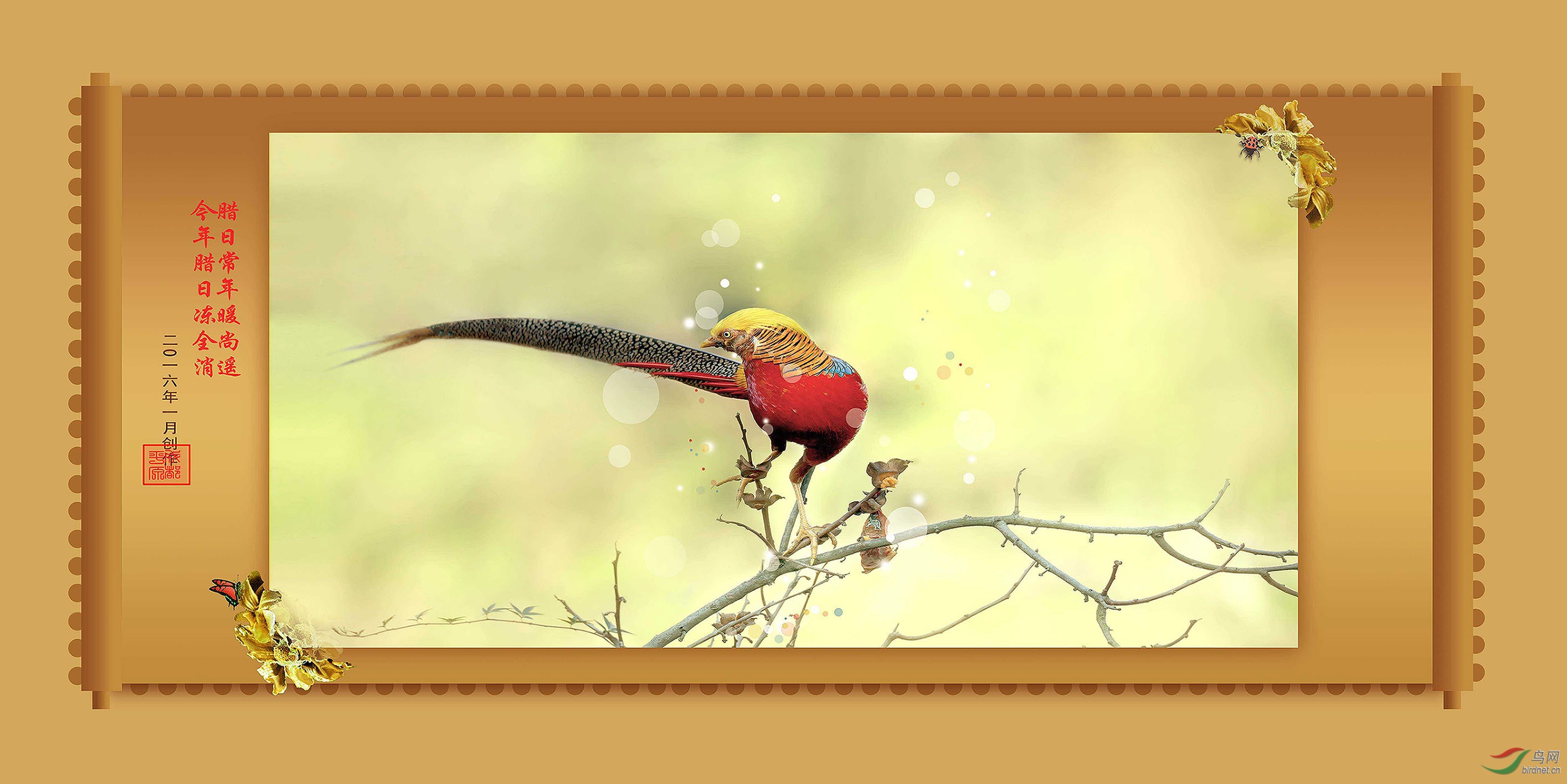 腊日暖春 - 艺术创意版 鸟网