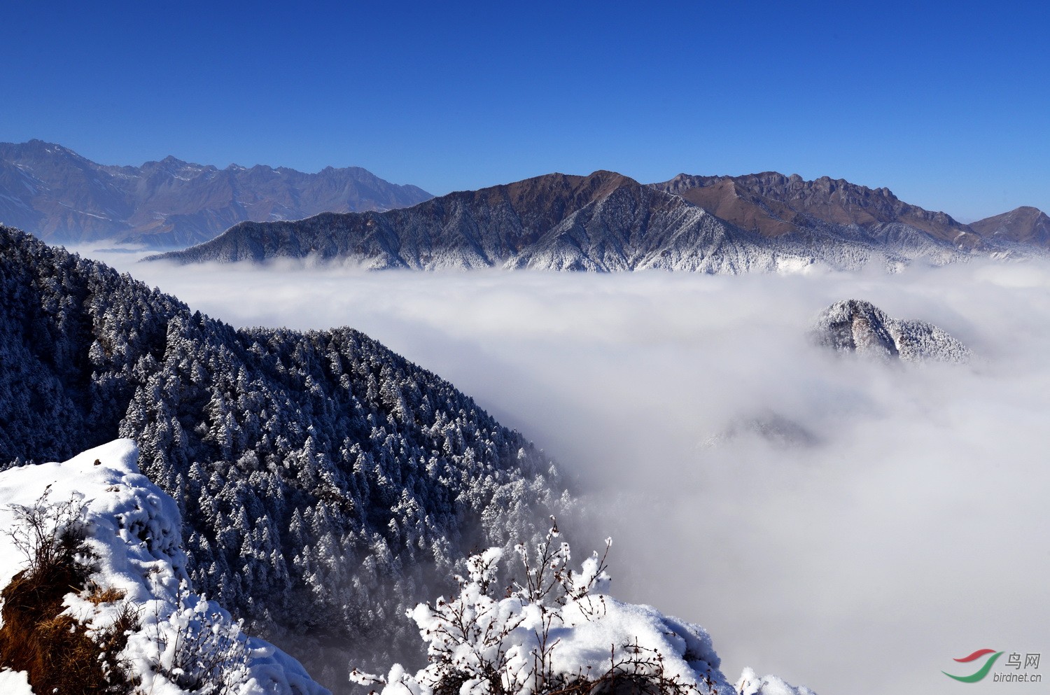 人间仙境西岭雪山