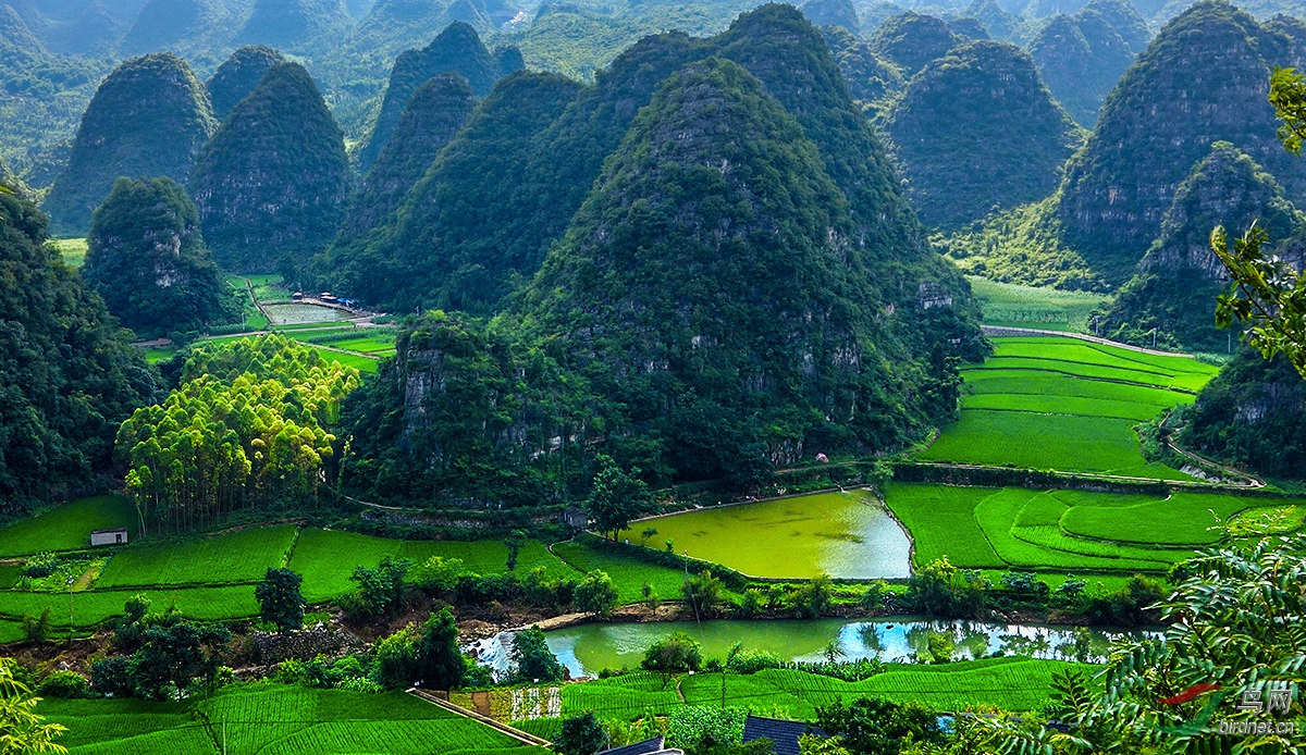 贵州万峰林风光