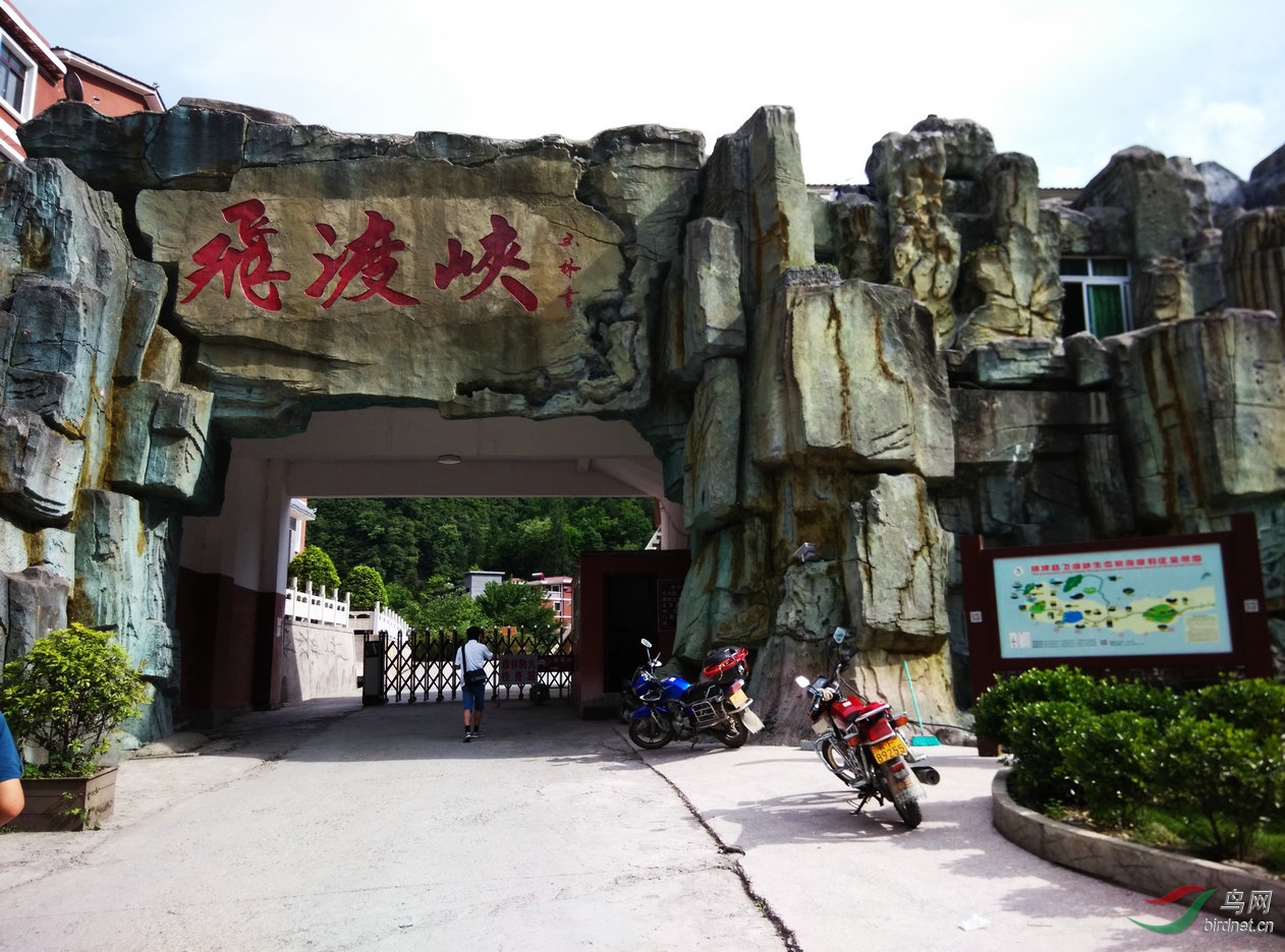 陕西大巴山拍鸟之旅贺此贴被首页主题推荐