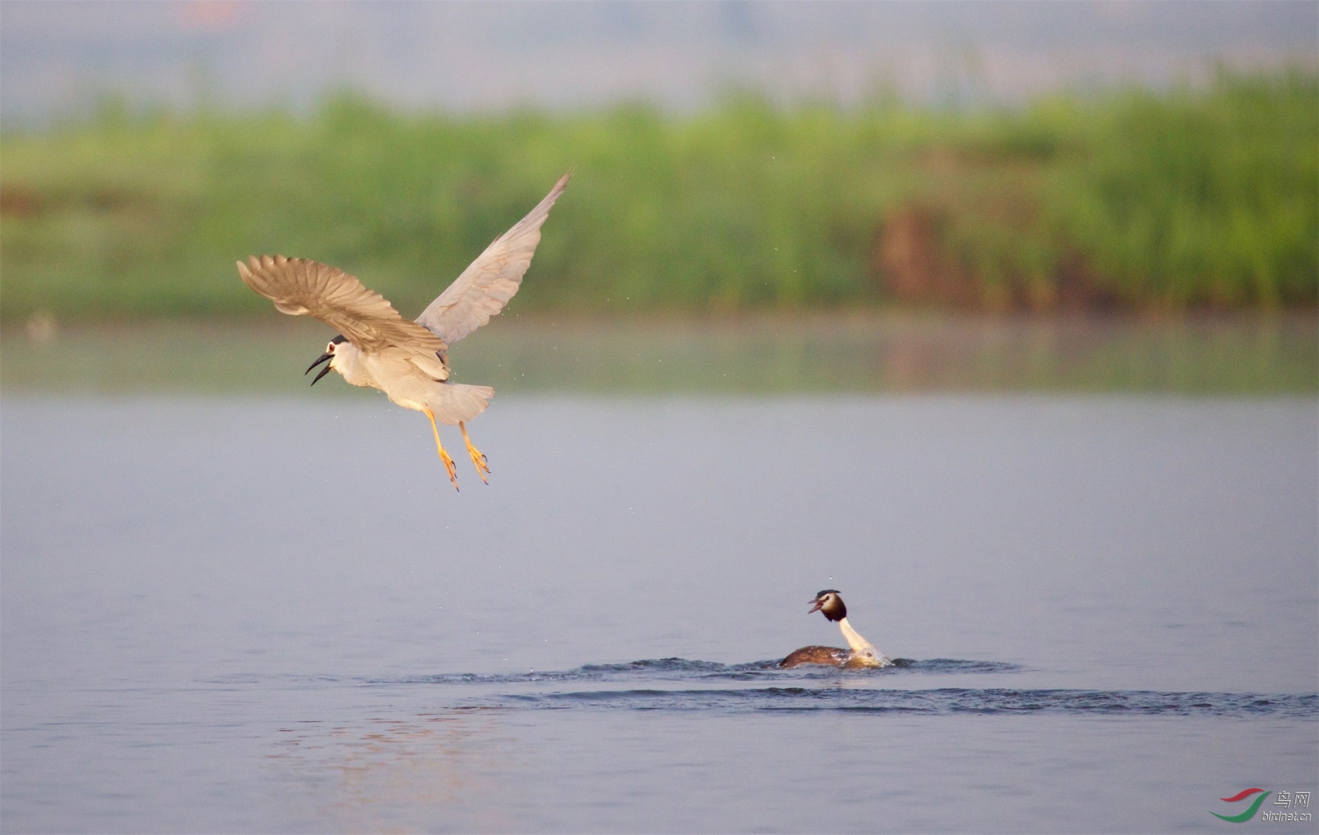 井水不犯河水-1