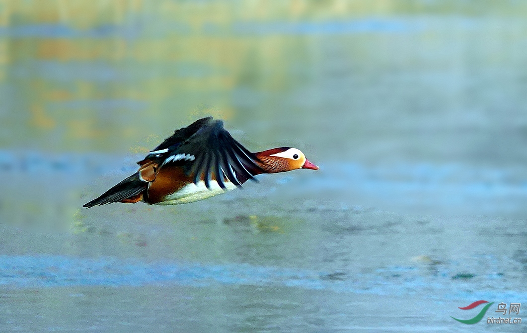 sony黑卡4连拍效果