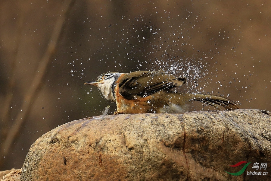 痛痛快快洗个澡