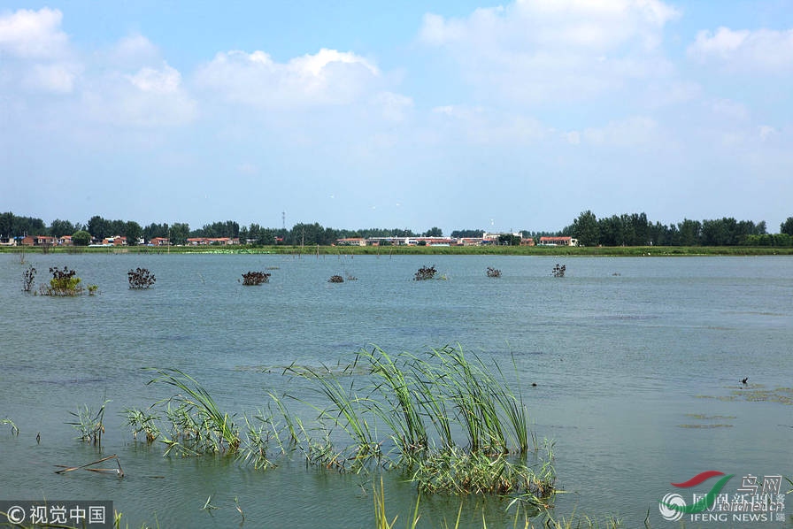 安徽:煤矿塌陷区变身湿地