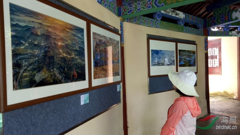 绿水青山中国森林摄影作品巡展云南展在昆明