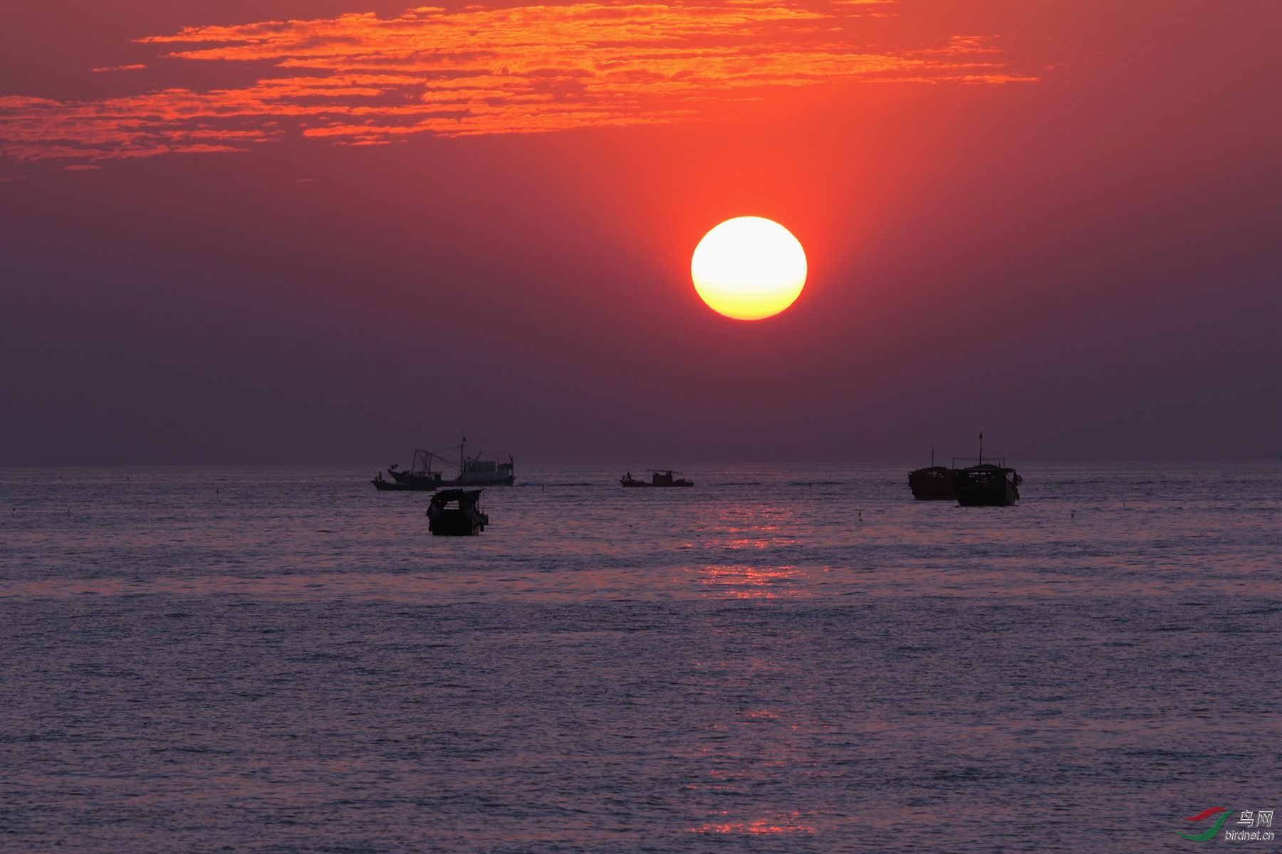 海上夕阳红