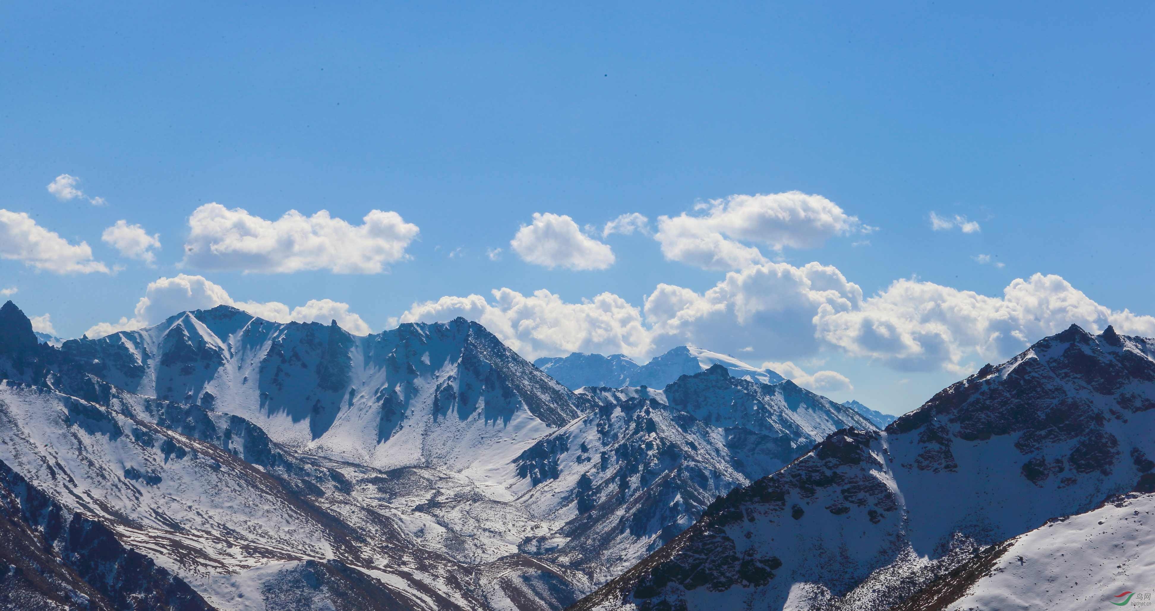 新疆雪山_新疆雪山_新疆伊犁草原-九九网
