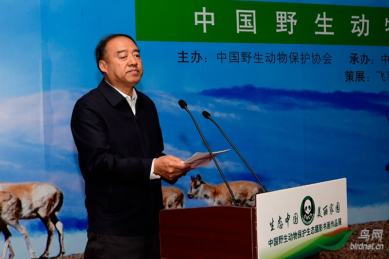 国家林业和草原局副局长李春良在致辞中指出,我国是世界上野生动植物资源较多的国家之一,保护野生动物是建设生态文明的重要内容,是贯彻党的十九大精神,加强自然生态系统保护、建设美丽中国的必然要求。中国野生动物保护协会举办的这次生态中国美丽家园中国野生动物保护生态摄影书画作品展,正是对习近平总书记提出的人与自然是生命共同体的社会主义生态文明观的积极响应,通过镜头语言和书画语言,讲述中国野生动物保护故事,使更多的人们从这些故事中认识多姿多彩的野生动物物种和自然景观,从而积极参与保护野生动物的实际行动,