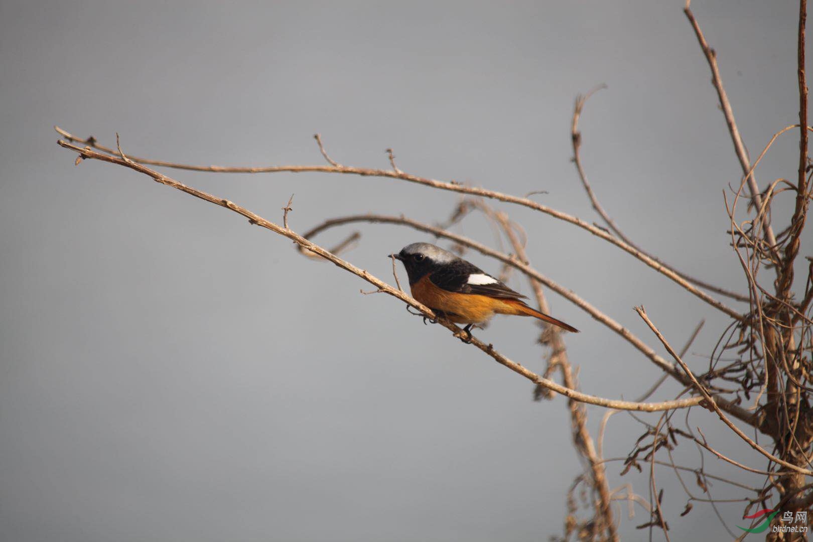 2019新年起飞,飞向幸福的大自然