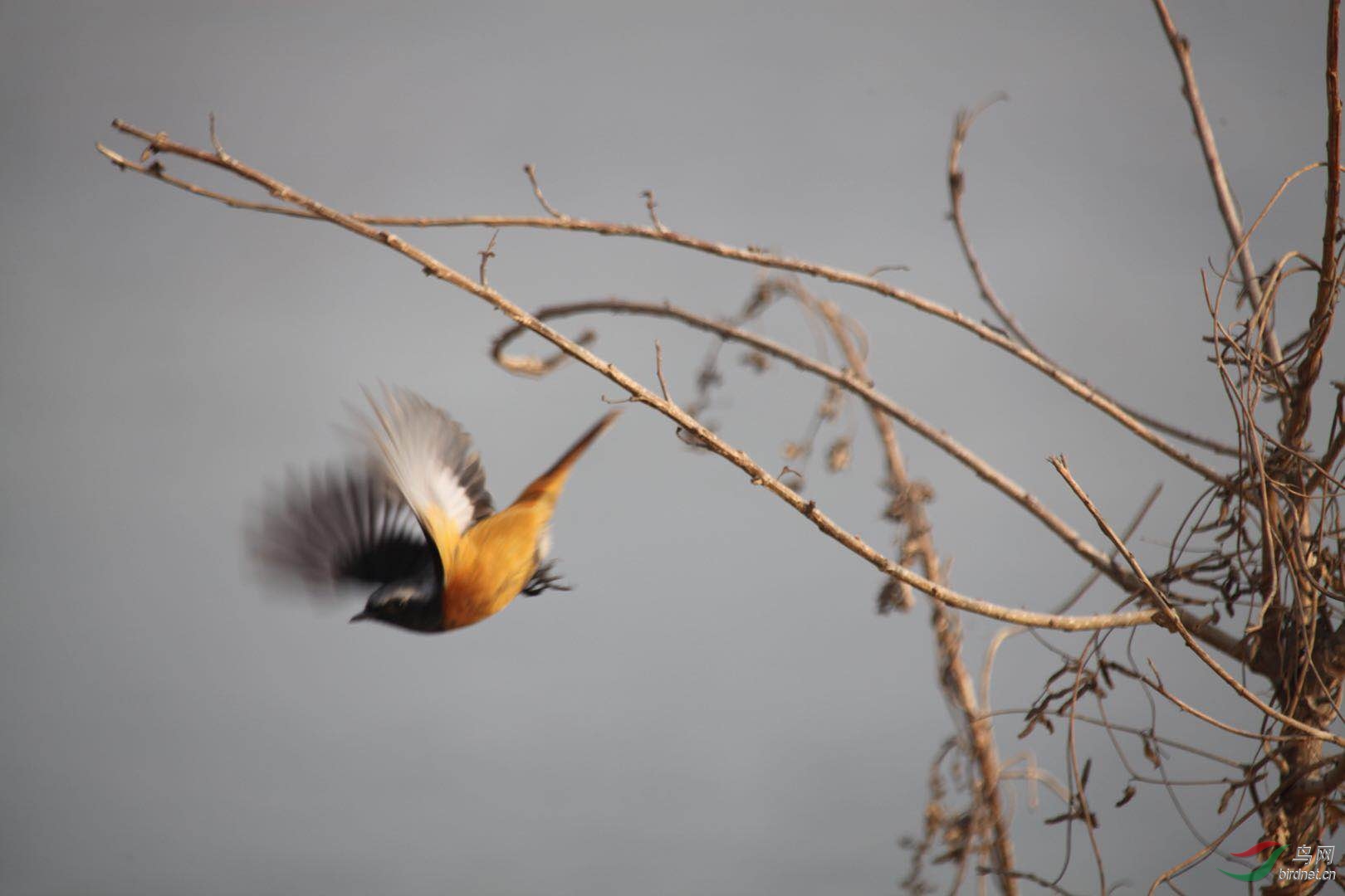 2019新年起飞,飞向幸福的大自然