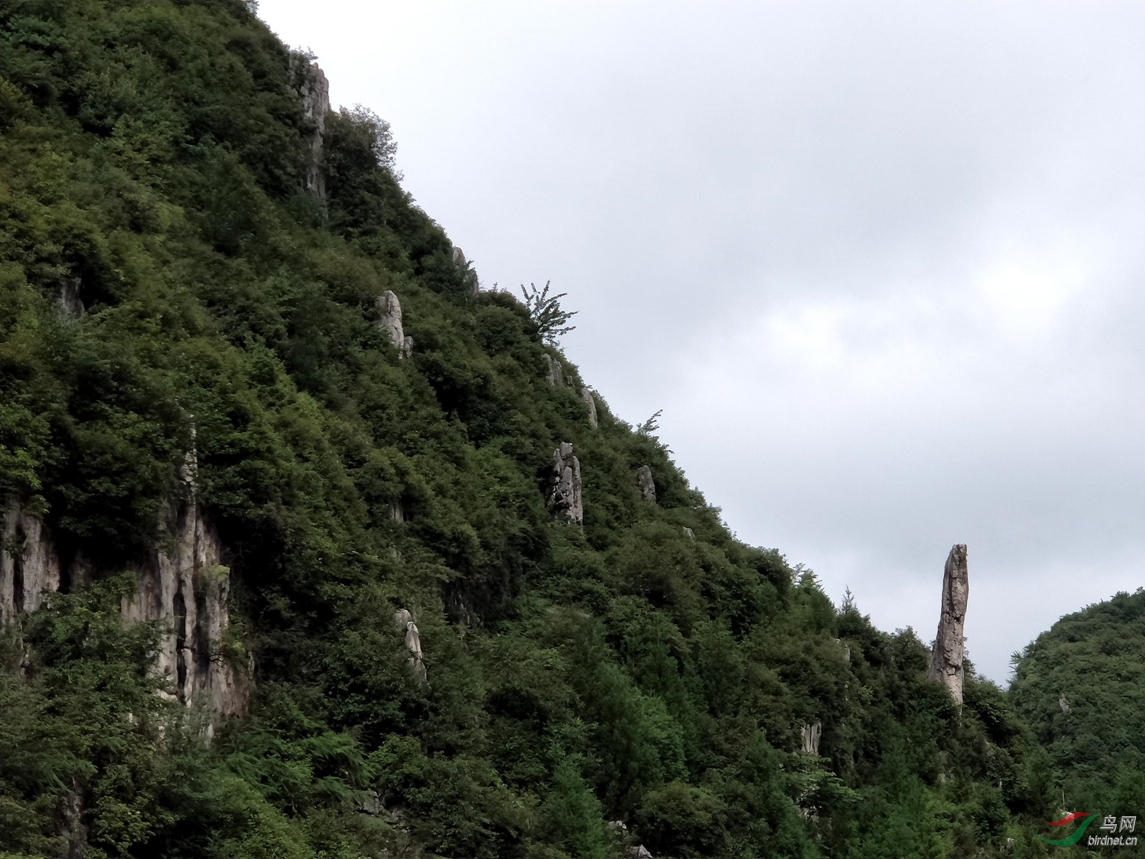 六盘水梅花山