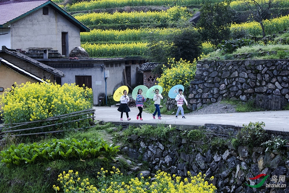 这边风景独好