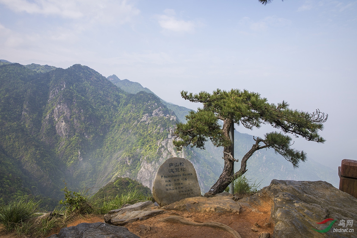 龙首崖《庐山恋》拍摄地之一