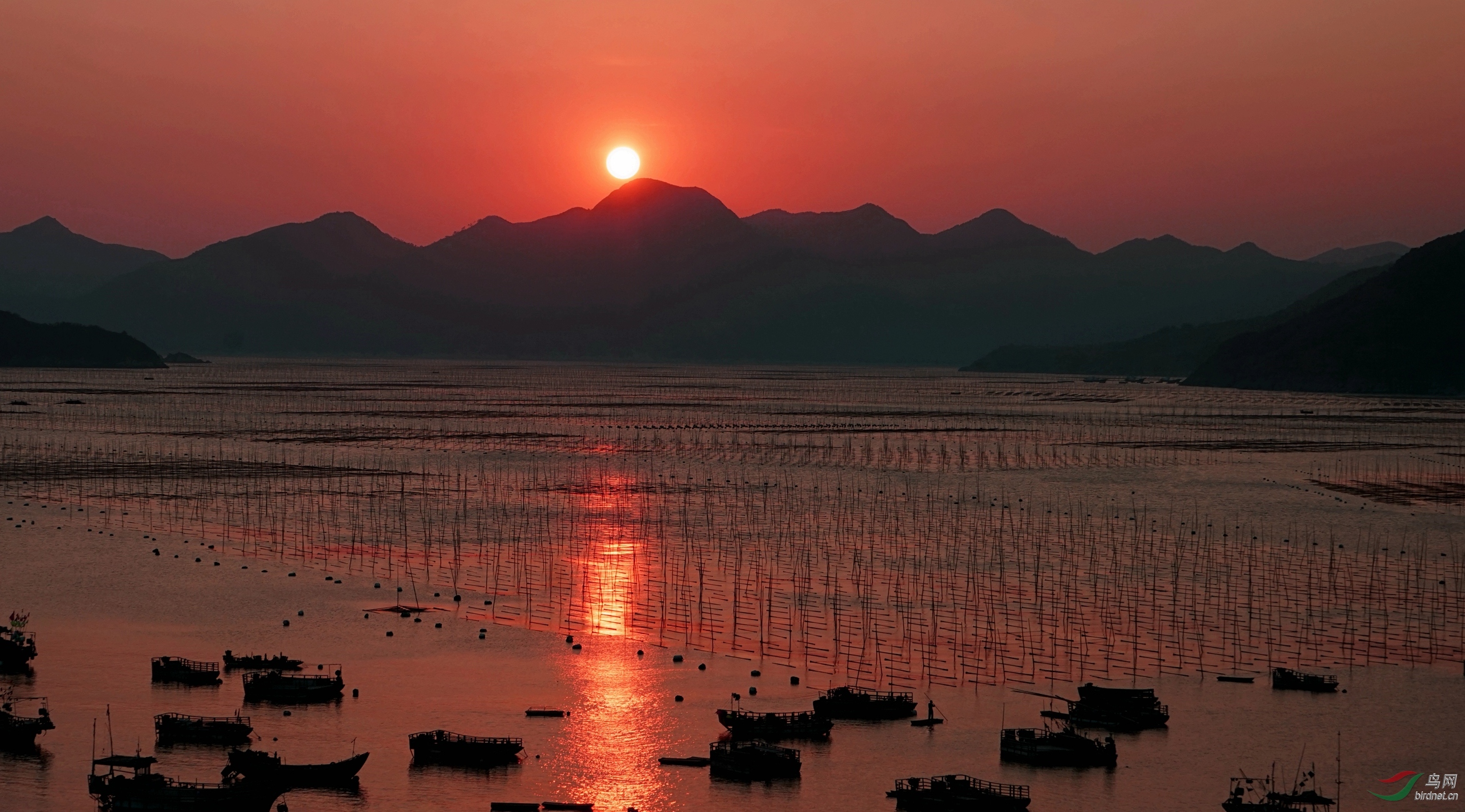 福建霞浦—北岐日出