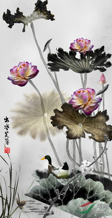 出水芙蓉