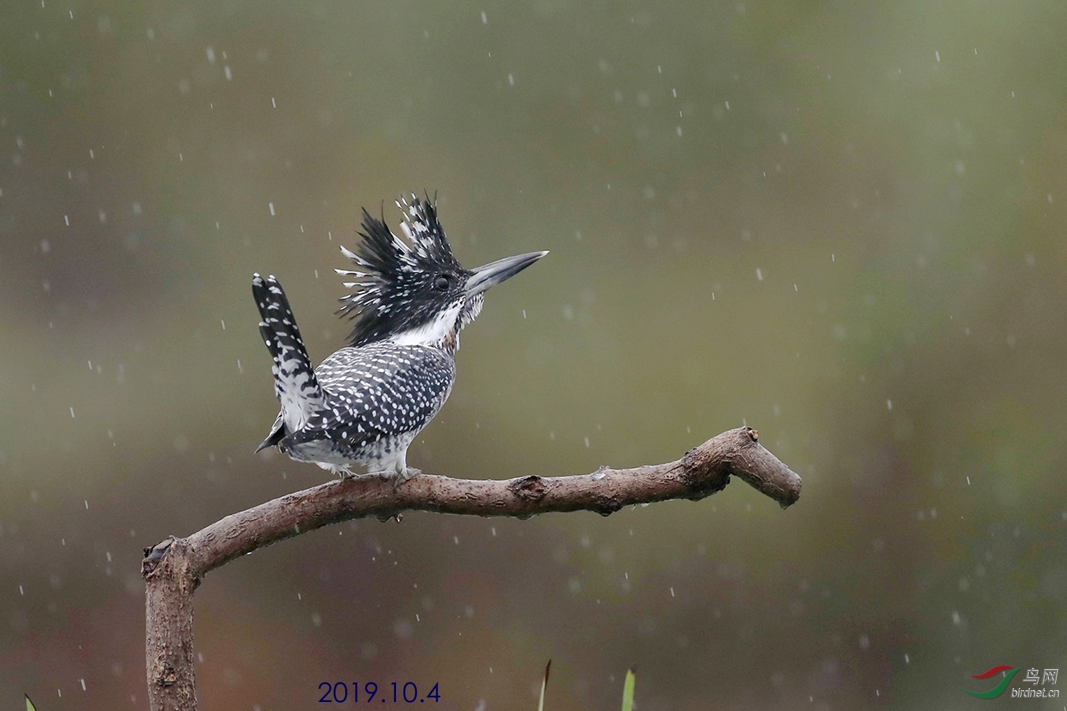 听风看雨