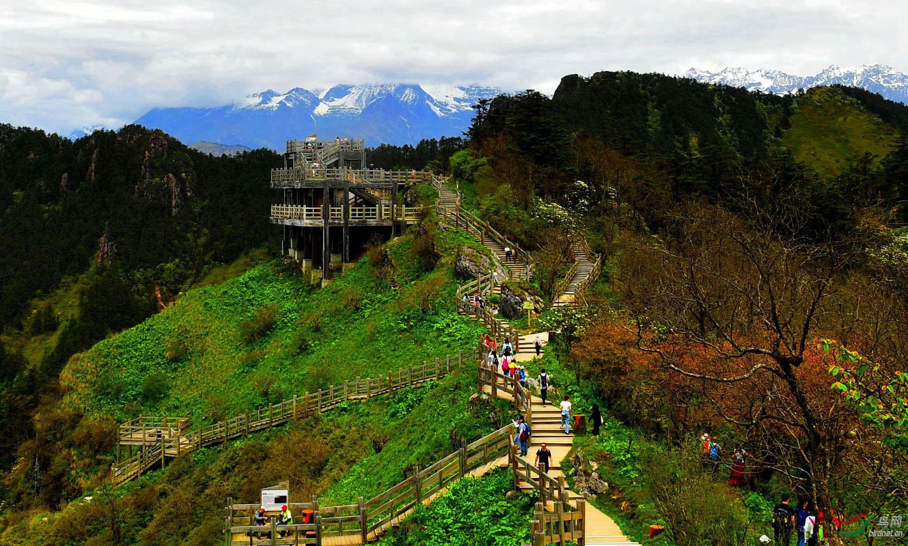 西岭雪山