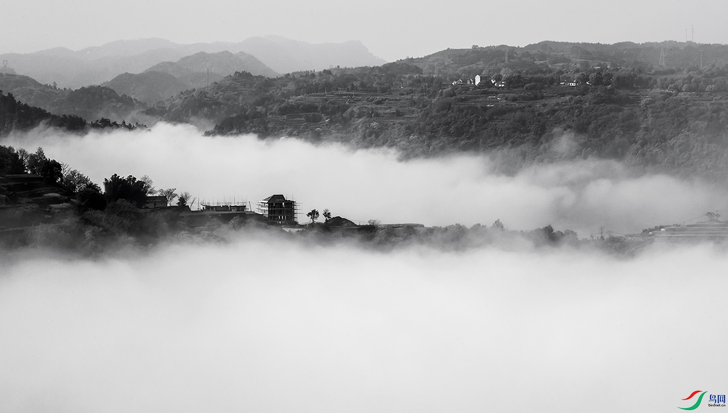 鸟网>论坛>>主题区>>黑白影像>>大山深处高楼盖>